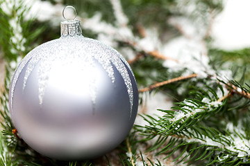 Image showing Silver Christmas ornaments in leaves