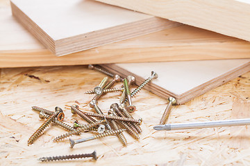 Image showing Phillips head screwdriver and wood screws