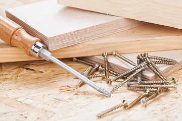 Image showing Phillips head screwdriver and wood screws