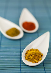 Image showing Dried ground spices in ceramic spoons