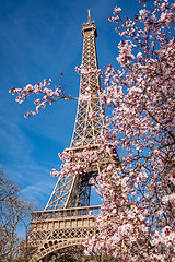 Image showing Eiffel Tower in Paris