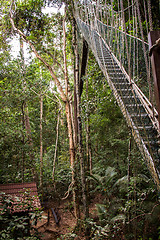 Image showing Narrow cable suspension footbridge