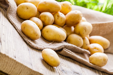 Image showing Farm fresh  potatoes on a hessian sack