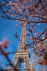 Image showing Eiffel Tower in Paris