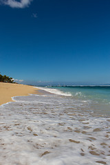 Image showing Beautiful tropical beach with lush vegetation