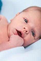 Image showing Small infant wrapped in knitted fabric