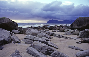 Image showing Lofoten