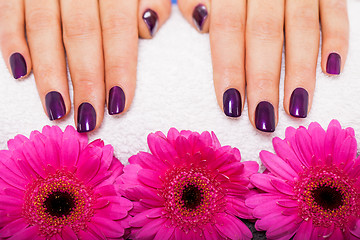 Image showing Woman with beautiful manicured purple nails