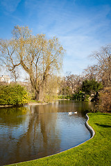 Image showing Tranquil park with a pond and wildflowers