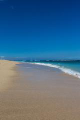 Image showing Beautiful tropical beach with lush vegetation