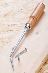 Image showing Phillips head screwdriver and wood screws