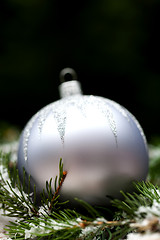 Image showing Silver Christmas ornaments in leaves