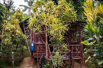 Image showing Stony river bed in a lush green jungle