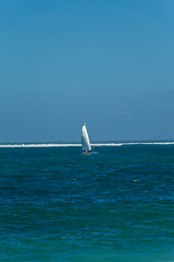 Image showing Beautiful tropical beach with lush vegetation