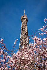 Image showing Eiffel Tower in Paris