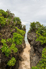 Image showing Beautiful tropical beach with lush vegetation