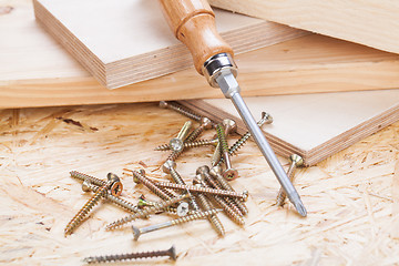 Image showing Phillips head screwdriver and wood screws