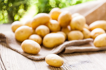 Image showing Farm fresh  potatoes on a hessian sack