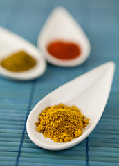 Image showing Dried ground spices in ceramic spoons