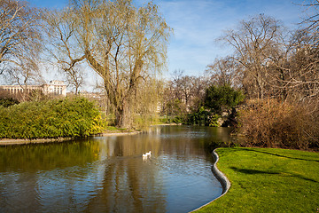 Image showing Tranquil park with a pond and wildflowers