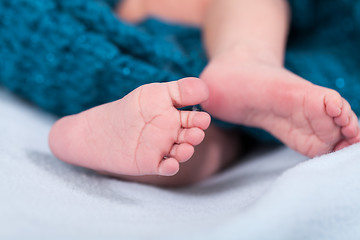 Image showing Small infant wrapped in knitted fabric