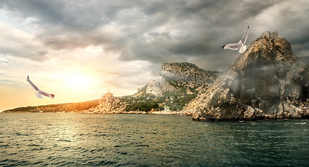 Image showing Seagull over the sea