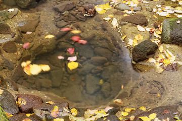 Image showing Lake in autumn