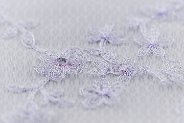 Image showing Beautiful lace