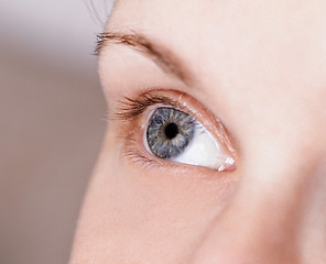 Image showing Blue eye