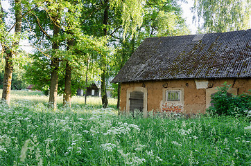 Image showing molar old ural barn between the high grass 