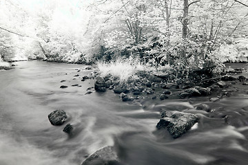 Image showing Calm stream