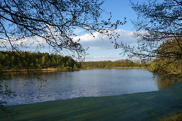 Image showing Branch over lake with duckweed