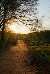 Image showing The road illuminated by the light of the setting sun