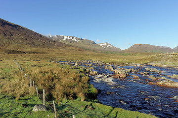 Image showing Spey river west of Garva bridge at dawn, Scotland in spring