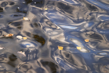 Image showing Lake in autumn