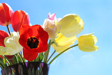 Image showing Bouquet of colorful tulips