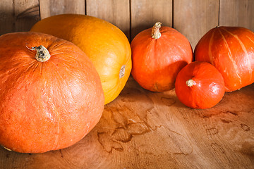 Image showing Pumpkins On Grunge Wooden Backdrop Background