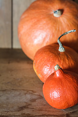 Image showing Pumpkins on grunge wooden backdrop background