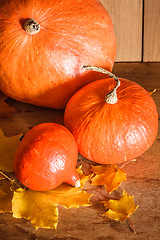 Image showing Pumpkins On Grunge Wooden Backdrop Background