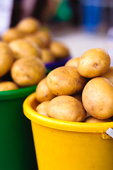 Image showing Potatoes At Local Market