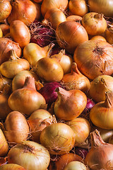 Image showing Onions Background