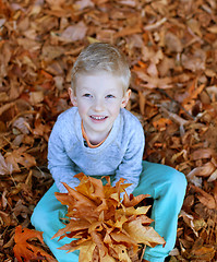 Image showing kid at fall