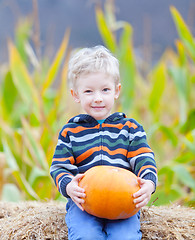 Image showing boy at pumpkin patch