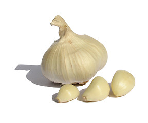 Image showing Garlic