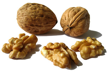 Image showing Walnuts