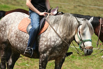 Image showing Man on horse