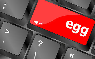 Image showing egg word on computer pc keyboard key