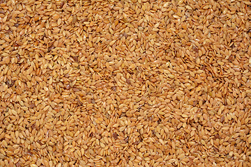 Image showing Golden linseed