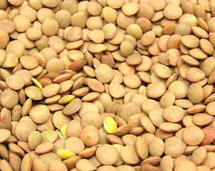 Image showing  A lot of lentils in a close-up view