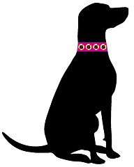 Image showing Dog tick collar